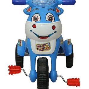 Joyride Baby Happy Birthday Tricycle