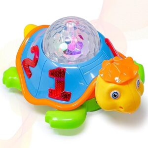 Dancing Tortoise Musical Toy